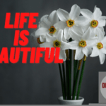 Is Life Beautiful? Yes! Life Is Beautiful When You Know This